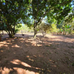 Chácara à Venda 4.305m² de área – Arrace de Santo Antônio II – São Carlos/SP