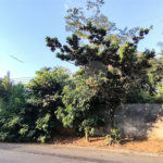 Lote de 1800m² na região do Mantiqueira