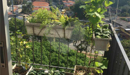 Apartamento à venda com 2 quartos em Vila Progredior, São Paulo, SP