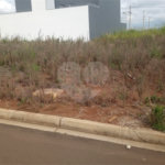Lote no Jardim do Bosque, aceita financiamento ou aquisição de terreno e construção .