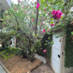 Casa à Venda na Vila Rezende – Piracicaba/SP - Ideal para moradia ou investimento comercial (clínicas, escritórios, consultórios