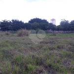 Fazenda com pasto a venda em Morungaba