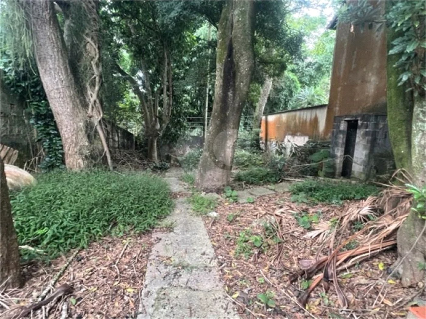 Vendo Terreno de 290m2 rua do Horto para sua casa ou investimento