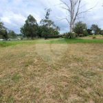 Loteamento Residencial no Condomínio Vila Pinhal do Broa.