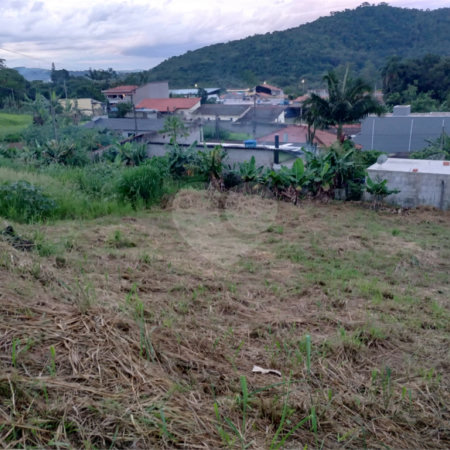 oportunidade ,terreno na av. mathias Lopes