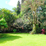 Casa Térrea à venda com 3 quartos, sendo 1 suíte, em Granja Julieta, São Paulo, SP
