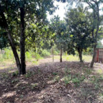 Lote à venda no Balneário Santo Antônio – Broa
