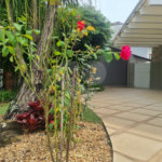 Sobrado à venda ou para alugar com 3 suítes em Villaggio Capríccio, Louveira, SP