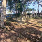 Terreno de 2000m² à Venda no Jardim Estância Brasil