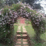 Spa Rural Chácara das Rosas à venda, a apenas 3 km do centro.