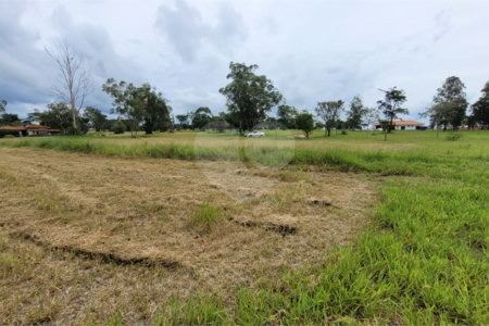 Loteamento Residencial no Condomínio Vila Pinhal do Broa.