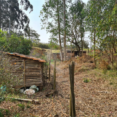 Ribeirão Grande - Bairro ferreira dos Matos - Sítio de 30.000 metros - R$ 600.000,00
