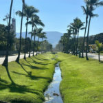 Terreno à venda em Riviera de São Lourenço, Bertioga, SP