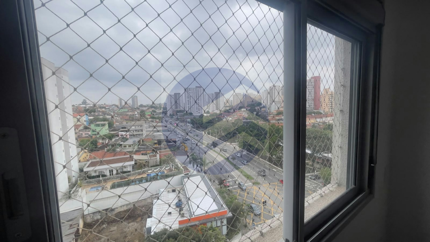 Apartamento para alugar com 3 quartos, sendo 1 suíte, em Vila Mascote, São Paulo - SP
