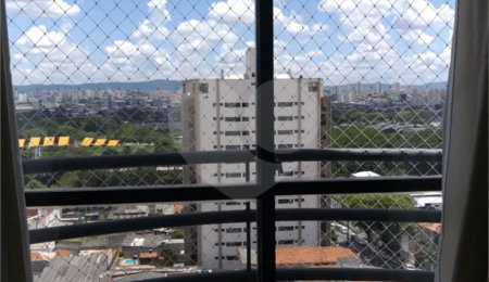 Apartamento à venda com 3 quartos, sendo 1 suíte, em Belenzinho, São Paulo, SP