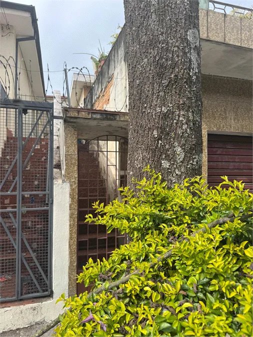 Terreno à venda com 4 quartos em Jardim Odete, São Paulo, SP