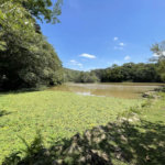 Casa de Alto Padrão à Venda e Locação - Condomínio Vila Verde