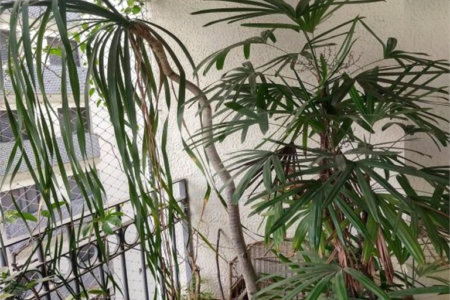 Apartamento na Vila Nova Conceição de 100m2 com 2 dorms, 1 suíte , 3 banheiros, 2 vagas. Estuda permuta.