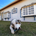 Chácara a venda na Quinta dos Buritis.