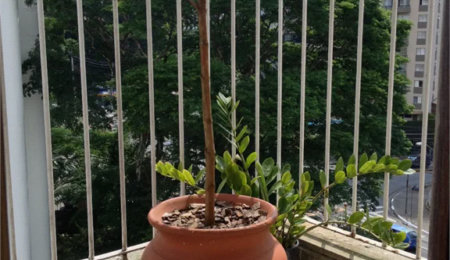 Apartamento à venda com 2 quartos em Vila Andrade, São Paulo, SP