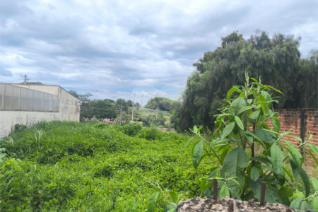 Terreno no Jardim Ricetti São Carlos - SP