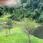 Vende-se chácara com lago Nazare Paulista com 3.000 m²