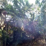 TERRENO EM ÓTIMA LOCALIZAÇÃO 760 METROS!