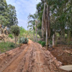 Ribeirão Grande - Bairro ferreira dos Matos - Sítio de 30.000 metros - R$ 600.000,00
