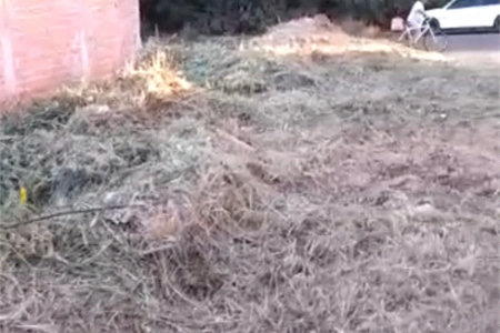 Terreno a venda no Jardim Medeiros