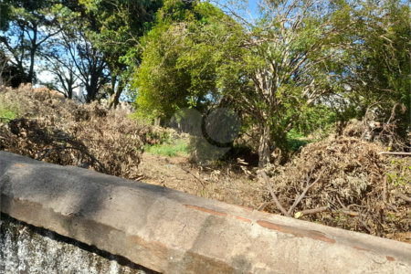 Terreno Comercial à Venda na Av. Teixeira de Barros – Rua Larga