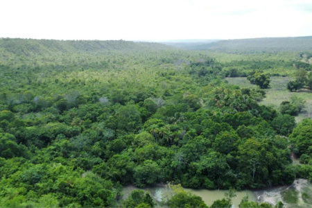 Fazenda à venda em Zona Rural, Balsas, MA