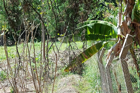 Chácara à venda com 4 quartos em Área Rural de Louveira, Louveira, SP