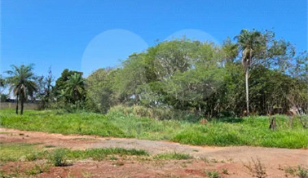 Terreno à venda em Pedro Juan Caballero, Amambay