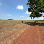 Fazenda à venda em Zona Rural, Balsas, MA