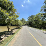 Casa de Alto Padrão à Venda e Locação - Condomínio Vila Verde