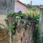 Terreno de 1.150m² no Jardim Gardênia Ideal para Casa de Campo em Atibaia