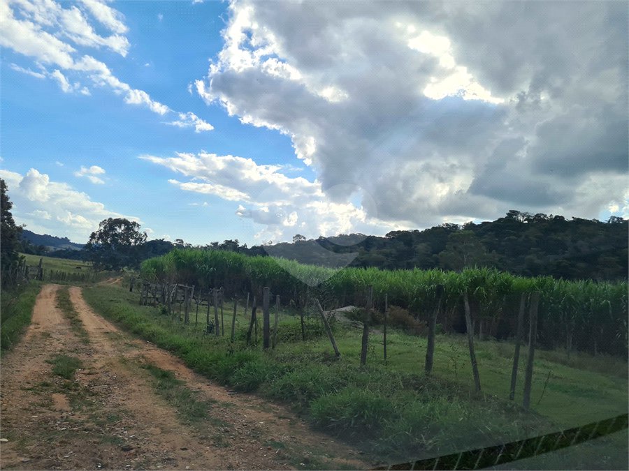 VENDA SÍTIO 48 hectares com estruura para granja, hidroponia e gado
