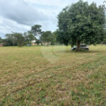 Lote Residencial no Condomínio Vila Pinhal do Broa.