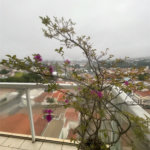 Salto- Sp - Locação - apto com 75 ms - mobiliado -Edificio Vivendas da Vila II - sexto andar - Apto mobiliado - 2 dorms, sala 2 ambiente, cozinha planejada, lavanderia, banheiro social, sacada, 01 vaga de garagem coberta - Aluguel - R$ 1.600,00 mais condominio - R$ 1.050.00 - iptu - R$ 100,00