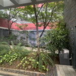Apartamento para alugar com 3 quartos, sendo 1 suíte, em Vila Mascote, São Paulo - SP