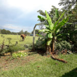 Chácara para venda no Portal do Vale no distrito de Água Vermelha/SP