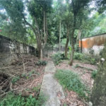 Vendo Terreno de 290m2 rua do Horto para sua casa ou investimento