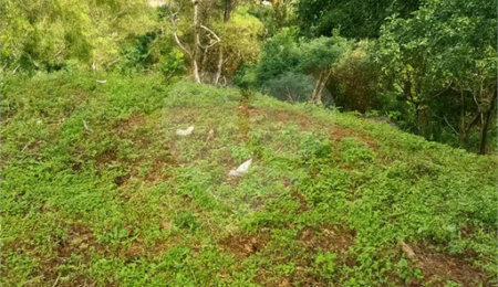 Terreno à venda em São José, Poços de Caldas, MG