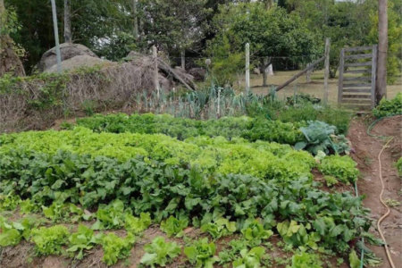 Excelente imóvel rural na cidade de Piedade/SP