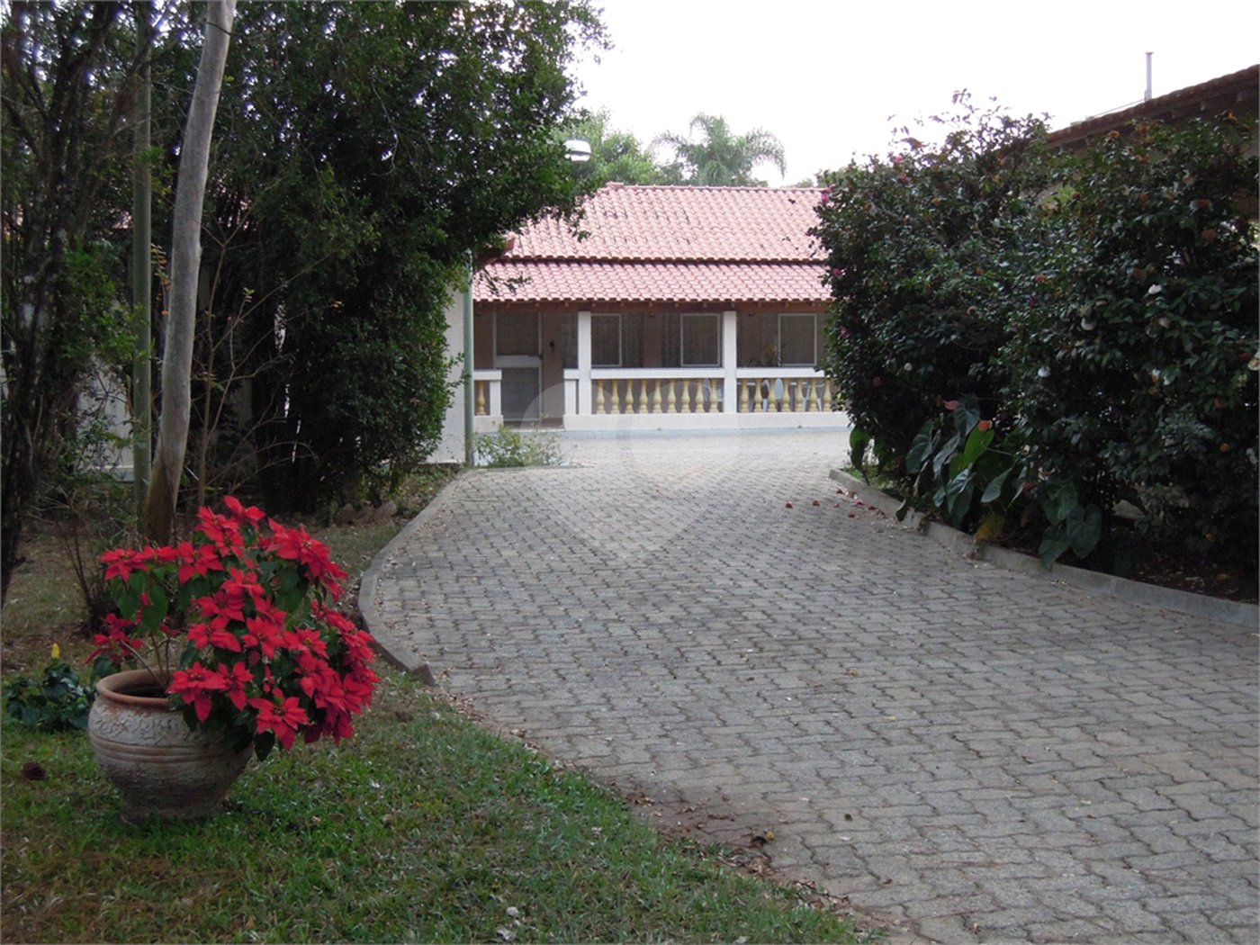 Sitio para venda no bairro Chácara Leila (Varjão)