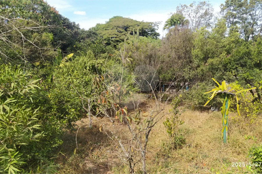 Chácara à venda em Tanquinho - Piracicaba/SP.