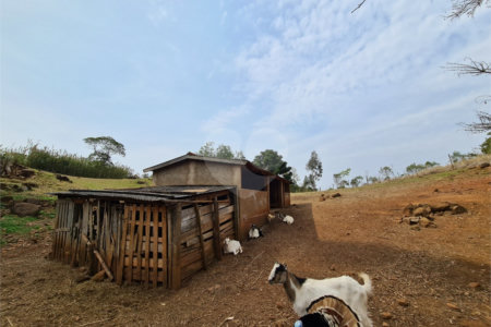 Ribeirão Grande - Bairro ferreira dos Matos - Sítio de 30.000 metros - R$ 600.000,00