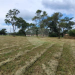 Loteamento Residencial no Condomínio Vila Pinhal do Broa.
