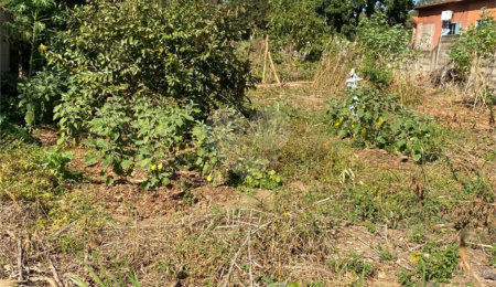 Terreno à venda em Solário da Mantiqueira, São João da Boa Vista, SP