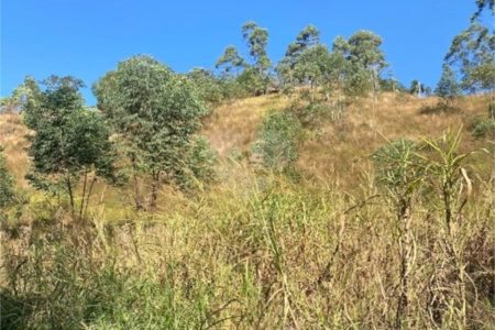 Terreno de 2.150m2